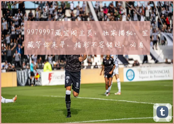 9979997藏宝阁主页，独家揭秘，宝藏等你来寻，精彩不容错过，必看攻略