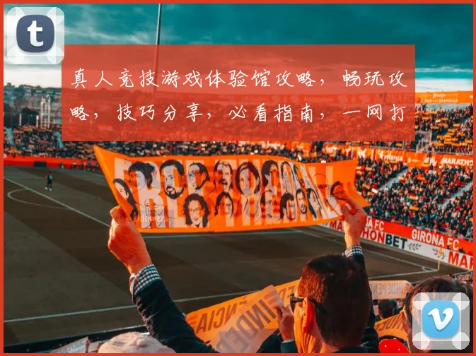 真人竞技游戏体验馆攻略，畅玩攻略，技巧分享，必看指南，一网打尽