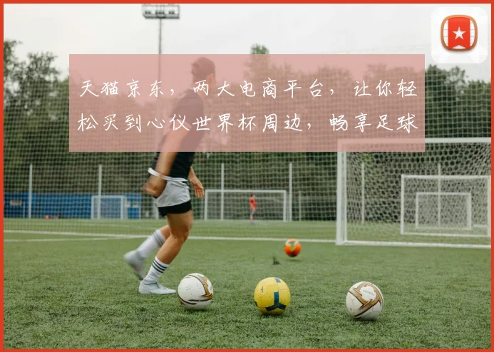 天猫京东，两大电商平台，让你轻松买到心仪世界杯周边，畅享足球狂欢